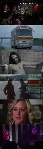 Ladies and Gentlemen, the Fabulous Stains (1982) [w/Commentaries]
