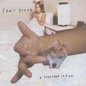 Sonic Youth - A Thousand Leaves (1998)