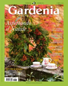 Gardenia - Dicembre 2024