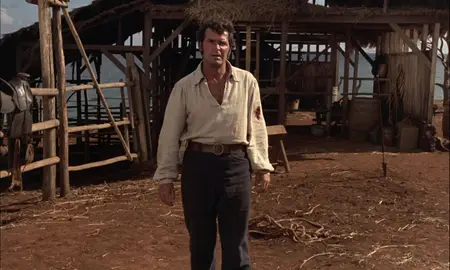 The Castaway Cowboy (1974)