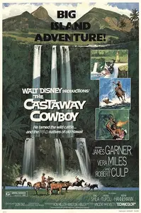 The Castaway Cowboy (1974)