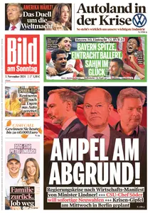 Bild am Sonntag - 03 November 2024