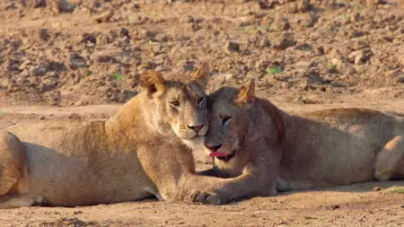 BSkyB - Zambia Untamed Series 1 (2018)