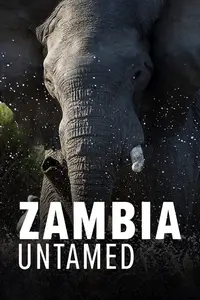 BSkyB - Zambia Untamed Series 1 (2018)