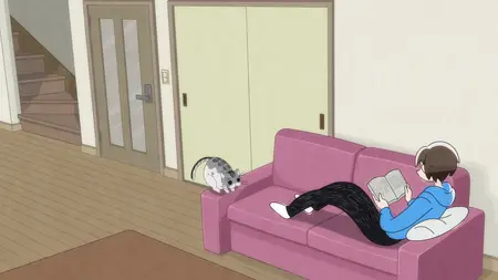 Nights With a Cat S01E10 Night 10 A Cat's Head Butting Attack
