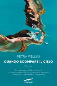 Petra Pellini - Quando scompare il cielo