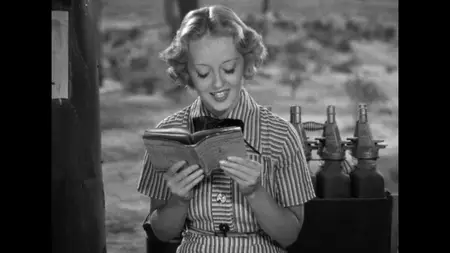 The Petrified Forest (1936)
