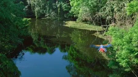 IMAX - Amazon (1997)