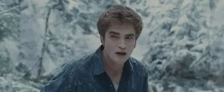 The Twilight Saga: Eclipse (2010)