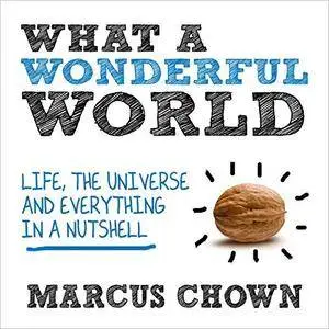 What a Wonderful World: One Man's Attempt to Explain the Big Stuff [Audiobook]