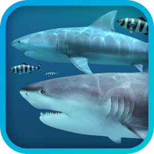 Sharks 3D 2.1.0