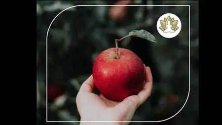 Crash Course On Healthy Eating