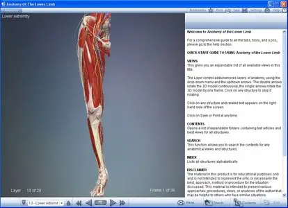 Primal Pictures: Anatomy of the Lower Limb DVD 1.0