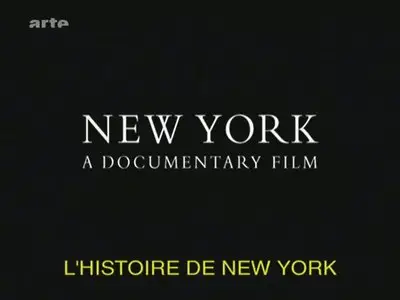 (Arte) Histoire de New York (2011)