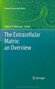 The Extracellular Matrix: an Overview (Biology of Extracellular Matrix)
