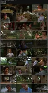 The Man in the Moon (1991)