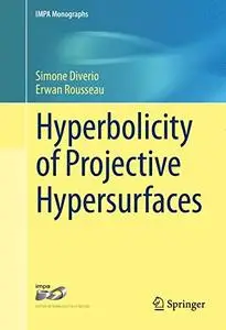 Hyperbolicity of Projective Hypersurfaces   [Repost]