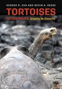 Tortoises of the World: Giants to Dwarfs