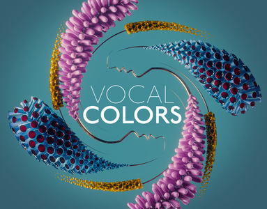 Native Instruments Vocal Colors v1.5.1 KONTAKT