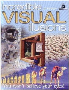 Incredible Visual Illusions