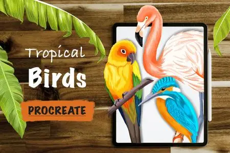 Tropical Birds In Procreate