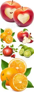 Fruits vector 3