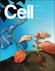 Cell - 14 January 2016