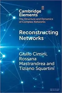 Reconstructing Networks
