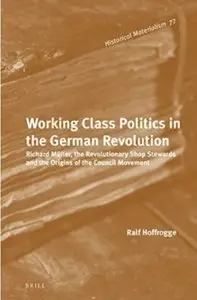 Working Class Politics in the German Revolution [Repost]