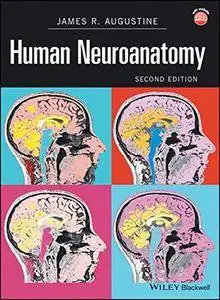 Human Neuroanatomy, Second Edition