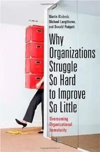 Why Organizations Struggle So Hard to Improve So Little: Overcoming Organizational Immaturity (repost)