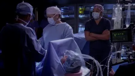 Grey's Anatomy S10E12