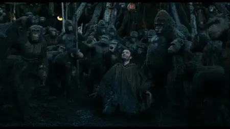 Dawn of the Planet of the Apes / Планета обезьян: Революция (2014)