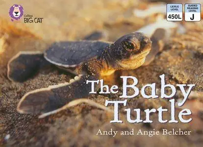 The Baby Turtle: Band 03/Yellow (Collins Big Cat)