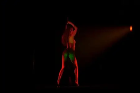 Crazy Horse Le Show (2002)