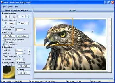 RonyaSoft ProPoster v2.02.03