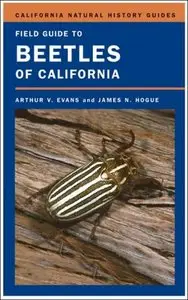 Field Guide to Beetles of California (repost)