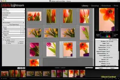 Adobe Photoshop Lightroom 1.3