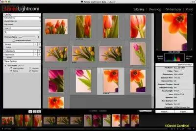 Adobe Photoshop Lightroom 1.3