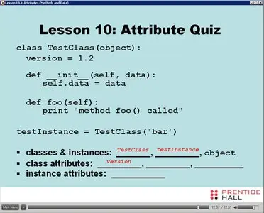 LiveLessons - Python Fundamentals (2009) [Repost]