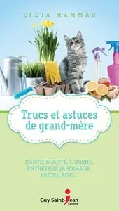 Trucs et astuces de grand-mère : 350 trucs et astuces testés et approuvés