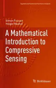 A Mathematical Introduction to Compressive Sensing