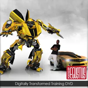 Digitally Transformed Training DVD [Repost]