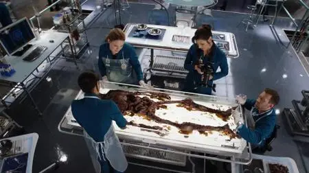 Bones S12E04