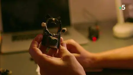 Animals. S01E01