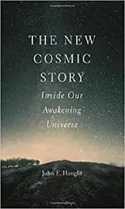 The New Cosmic Story: Inside Our Awakening Universe