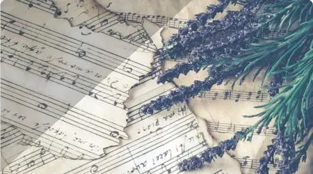 Music Theory Comprehensive: Part 15 - Chromatic Harmony