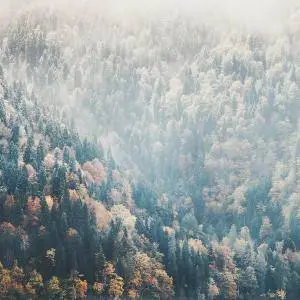 Shuta Yasukochi - Short Stories (2017)