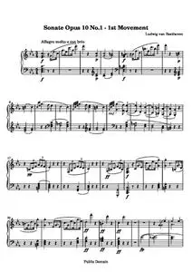 BeethovenLv - Sonata No. 5 (1st Movement: Allegro molto e con brio)