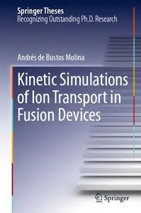 Kinetic Simulations of Ion Transport in Fusion Devices